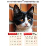 Genel Tedarik 2027 Kedi Duvar Takvimi A3 Ebat (29.7X42 Cm) Üstten Spiralli ve Askılı Inkjet Fotoğraf Kağıdına Baskılı