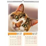Genel Tedarik 2027 Kedi Temalı A3 Duvar Takvimi-6 Sayfa Üstten Spiralli ve Askılı Fotoğraf Kağıdına Baskılı