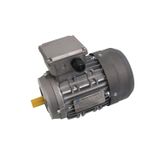 Genel Tedarik Huiheng ME7134 0.55kW 0.75HP 3 Faz Elektrik Motoru 1390 Devir IE2 IP55 230/400V Asenkron Motor