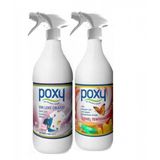 Genel Temizlik 1000 Ml & Sıvı Leke Çıkarıcı 1000 Ml Set
