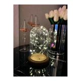Geneltedarik Led Işıklı Gold Ters Fanus 3 Metre Peri Tel Gün Işığı Gold Teraryum Dekoratif Organizasyon Süsleme