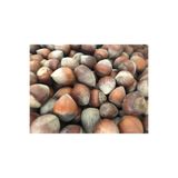 Generic 1KG Giresun Kalite Kabuklu Fındık - Yeni Mahsul - İri Boy ve Dolu İç