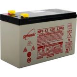 Genesis Np 12V 7 Ah Bakımsız Kuru Akü - F2 Terminal