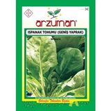 GENİŞ YAPRAK ISPANAK TOHUMU 25 GR 2000 AD TOHUM