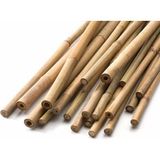 Genta Bambu Bitki Destek Çubuğu - 7 Adet - 90 cm