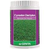 Genta Cynodon Dactylon Bermuda Çim Tohumu 500 Gr
