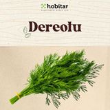 Genta Hobitar Dereotu Tohumu - 1 gr