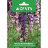 Genta Prestige Hazeran Çiçeği Süvari Mahmuzu Tohumu