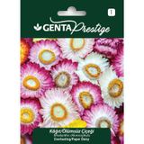 Genta Prestige Kağıt Ölümsüz Çiçeği Tohumu