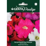 Genta Prestige Karışık Renkli Kısa Petunya Tohumu