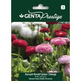 Genta Prestige Karışık Renkli Şeker Tabağı Tohumu