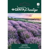 Genta Prestige Lavanta Çiçek Tohumu - 1 Paket