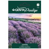 Genta Prestige Lavanta Çiçek Tohumu