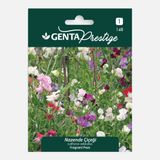 Genta Prestige Nazende Çiçeği Tohumu (8'li Paket)