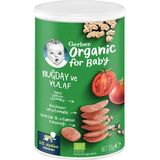 Gerber Organik Buğdaylı Yulaflı Kraker 35 G 5 Adet