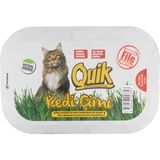 Gerçek Topraklı Kedi Çimi
