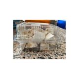Gerede Yüksel Helva KOZ HELVA FINDIKLI 350 GR