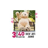 Gereksiz Şeyler Juno Bear Dev Ayıcık 3 Metre 40 Santim - Peluş Ayı