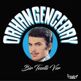 GEREKSİZ ŞEYLER Orhan Gencebay Bir Teselli Ver Plak