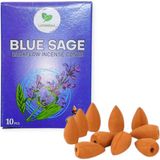 Geri Akış Tütsü - BLUE SAGE