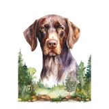 German Shorthair Pointer GSP 6x9 College Ruled Lined Notebook: Journal, Composition Notebook