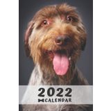 German Wirehaired Pointer Calendar 2022: Perfect for Notes and Planning, Monthly and Weekly (2022 Planner, Diary)
