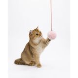 getmeev Yapışkanlı Yaylı Zilli Ponpon Kedi Oyuncağı, Elastik İpli Tüylü Top, Kapı Duvar ve Mobilyaya Sabitlenebilir, Kediler İçin İnteraktif Eğlenceli Hareketli Oyun ve Aktivite Oyuncağı(Pembe Ponpon)