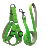 Gezdirme Kayisli Dokuma Kopek Gogus Tasma Seti 32*47-110 Cm Neon Yesil