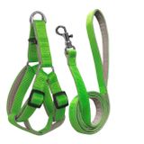 Gezdirme Kayisli Dokuma Kopek Gogus Tasma Seti 52*73-110 Cm Neon Yesil