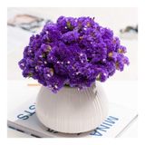 GFAZXDS Saksıda Yapay Çiçek Vazolu Yapay Gypsophila Çiçeği Kurutulmuş Çiçekler Masa Ev Ofis Düğün için Dekorasyon, B
