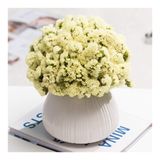 GFAZXDS Saksıda Yapay Çiçek Vazolu Yapay Gypsophila Çiçeği Kurutulmuş Çiçekler Masa Ev Ofis Düğün için Dekorasyon, F