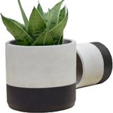Ghogol Home Sukulent Kaktüs Beton Saksı - Siyah