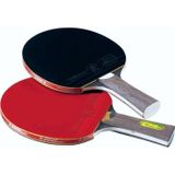 Giant Dragon P40+Masa Tenisi Raketi ITTF Onaylı