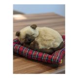 Gifi Peluş Yavru Kedi Oyuncak Minder Üstünde Uyuyan Kedi Orta Boy