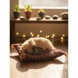 Gifi Peluş Yavru Köpek Oyuncak Minder Üstünde Uyuyan Kedi Küçük Boy 10 x 11 - Kahverengi