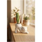 GIFT MALL Esneyen Kedi Şeklinde Dekoratif Kaktüs ve Sukulent Saksısı - Modern Tasarım Biblo Obje