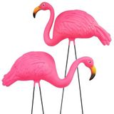 GiftExpress Büyük Parlak Pembe Flamingo Bahçe Süsü/Flamingo Bahçe Heykeli/Pembe Flamingo Bahçe Avlu Dekoru (2'li Paket)