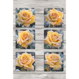 giftkonsept Donmuş Sarı Güller Baskılı 6'lı Set Dekoratif Ahşap Kare Bardak Altlığı, QBBA1136