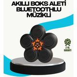 GIGA Ev Tipi Akıllı Boks Duvar Paneli Müzikli Bluetoothlu Refleks Geliştirme Cihazı - Renkli
