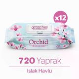 Giggles Orkide Kokulu Islak Havlu 60'lı 12 Paket 720 Mendil