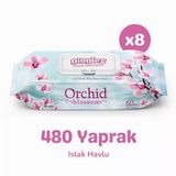 Giggles Orkide Kokulu Islak Havlu 60'lı 8 Paket 480 Mendil
