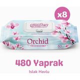 Giggles Orkide Kokulu Islak Mendil Islak Havlu 480 Mendil