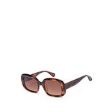 Gigi Studios Bitter 6942 2 Asetat Havana Kadın Güneş Gözlüğü - Kahverengi