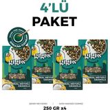 Gigis Food Tropikal Meyveli Granola - Spirulina, Chia 4'lü Paket 4X250 Gram - 1 kg