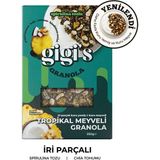 Gigi's Tropikal Meyveli Granola - 250 gr