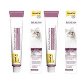 GimCat 2x100 gr Anti Hairball Malt Soft Pasta