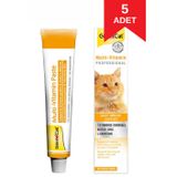 Gimcat Multivitamin Kedi Macunu 20 Gr X 5 Adet
