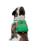 Gimme Five Yeşil Çantalı Göğüs Tasması, Köpek Sırt Çantası – Göğüs Tasması İşlevli, Geri Dönüştürülmüş Malzeme, Ayarlanabilir, Çok Cepli, 5 Renk Seçenekli, Şık ve Fonksiyonel Recycled