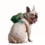 Gimme Five Yeşil Çantalı Göğüs Tasması, Köpek Sırt Çantası – Göğüs Tasması İşlevli, Geri Dönüştürülmüş Malzeme, Ayarlanabilir, Çok Cepli, Recycled