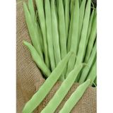 Gina (Green Line) Oturak Fasulye Tohumu 100 Gram